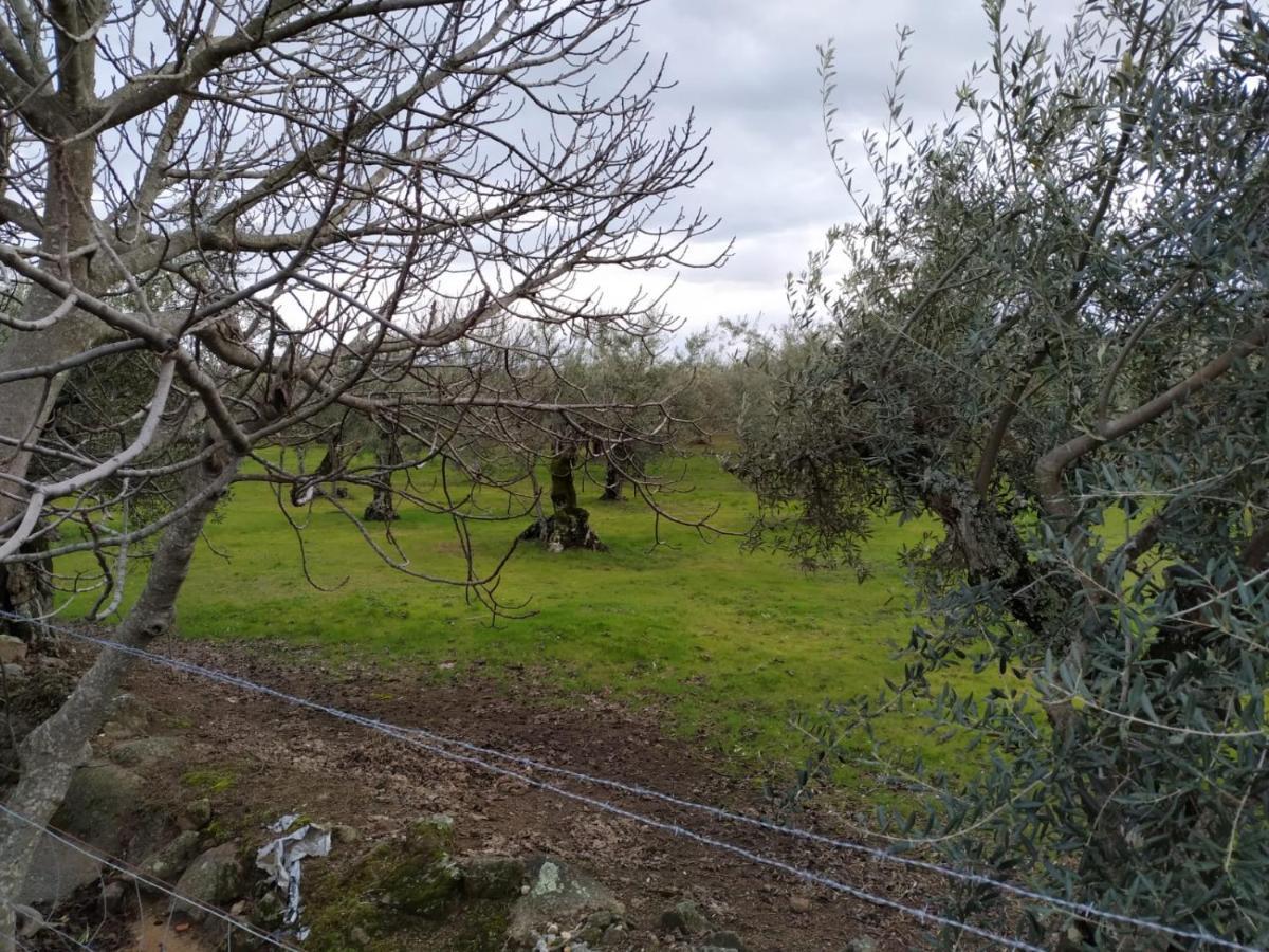 Casa Rural La Picota Valverde de la Vera Exteriér fotografie